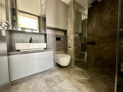 Irwell Hill Residences (D9), Apartment #466760361